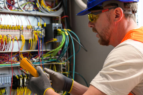 Best Electric Panel Repair  in Princeton, MO